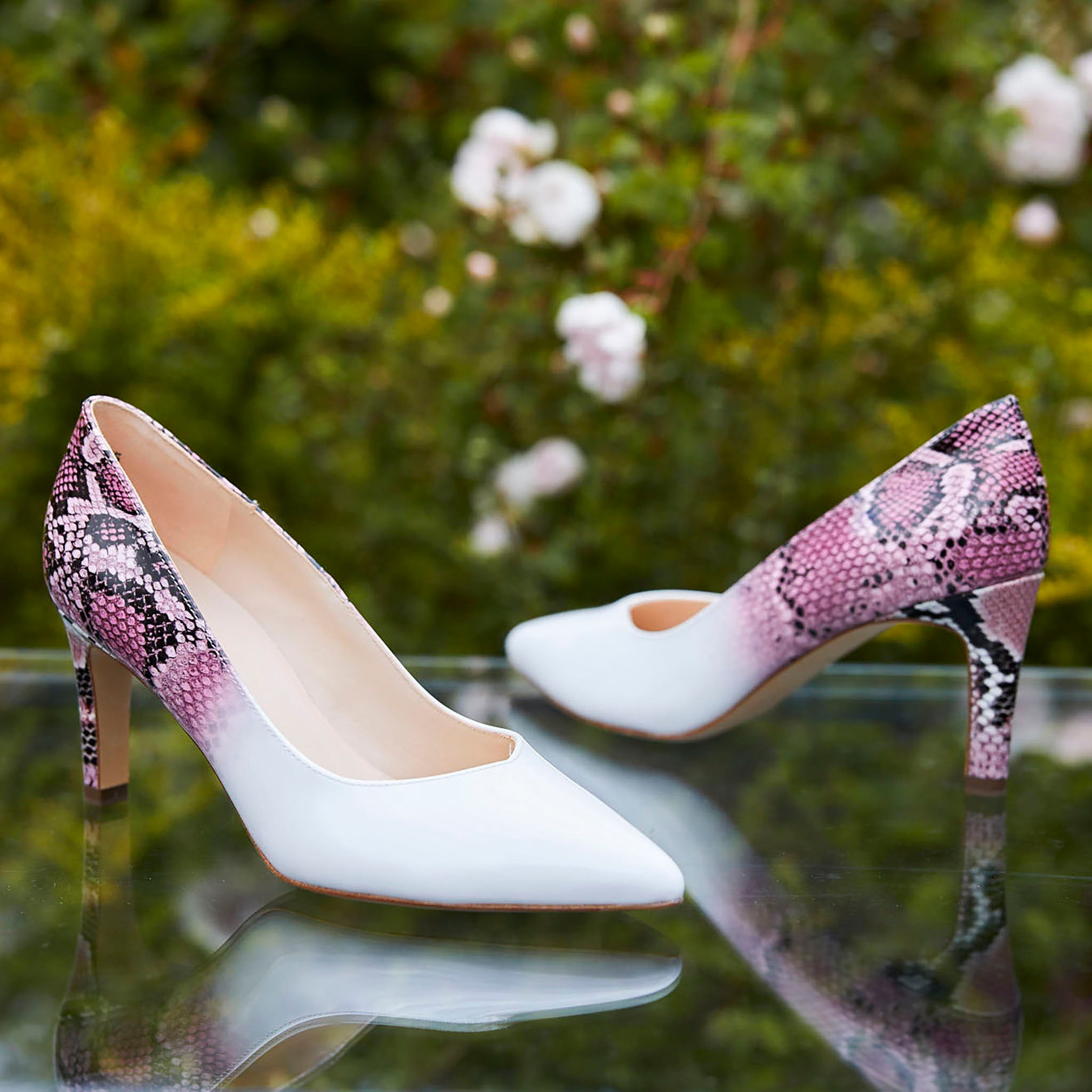 Hakken Omoda Peter Kaiser Peter Kaiser Blia Newest Popular Womens