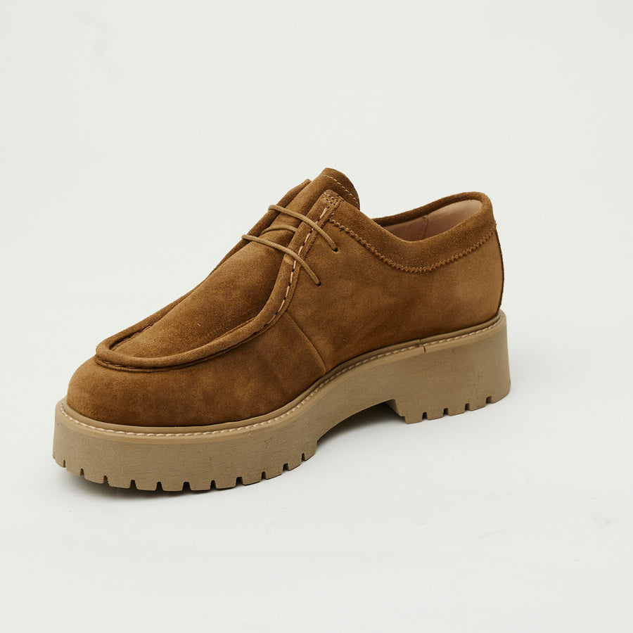 NeroGiardini Tan Suede Laced Brogues - Nozomi
