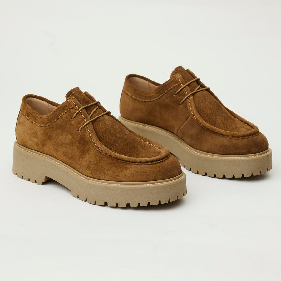 NeroGiardini Tan Suede Laced Brogues - Nozomi