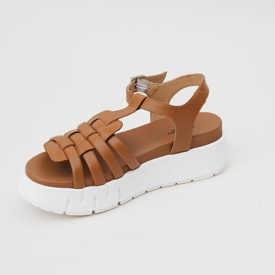 NeroGiardini Tan Flatform Sandals - Nozomi